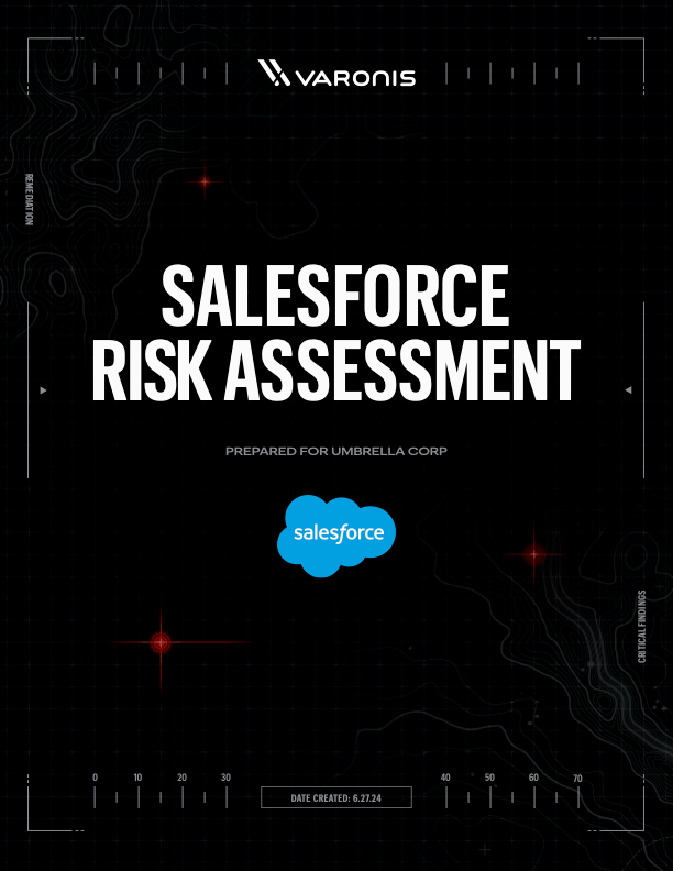 Salesforce Risk Assessment cover page