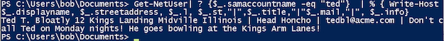 PowerView cmdlet Get-NetUser parameters